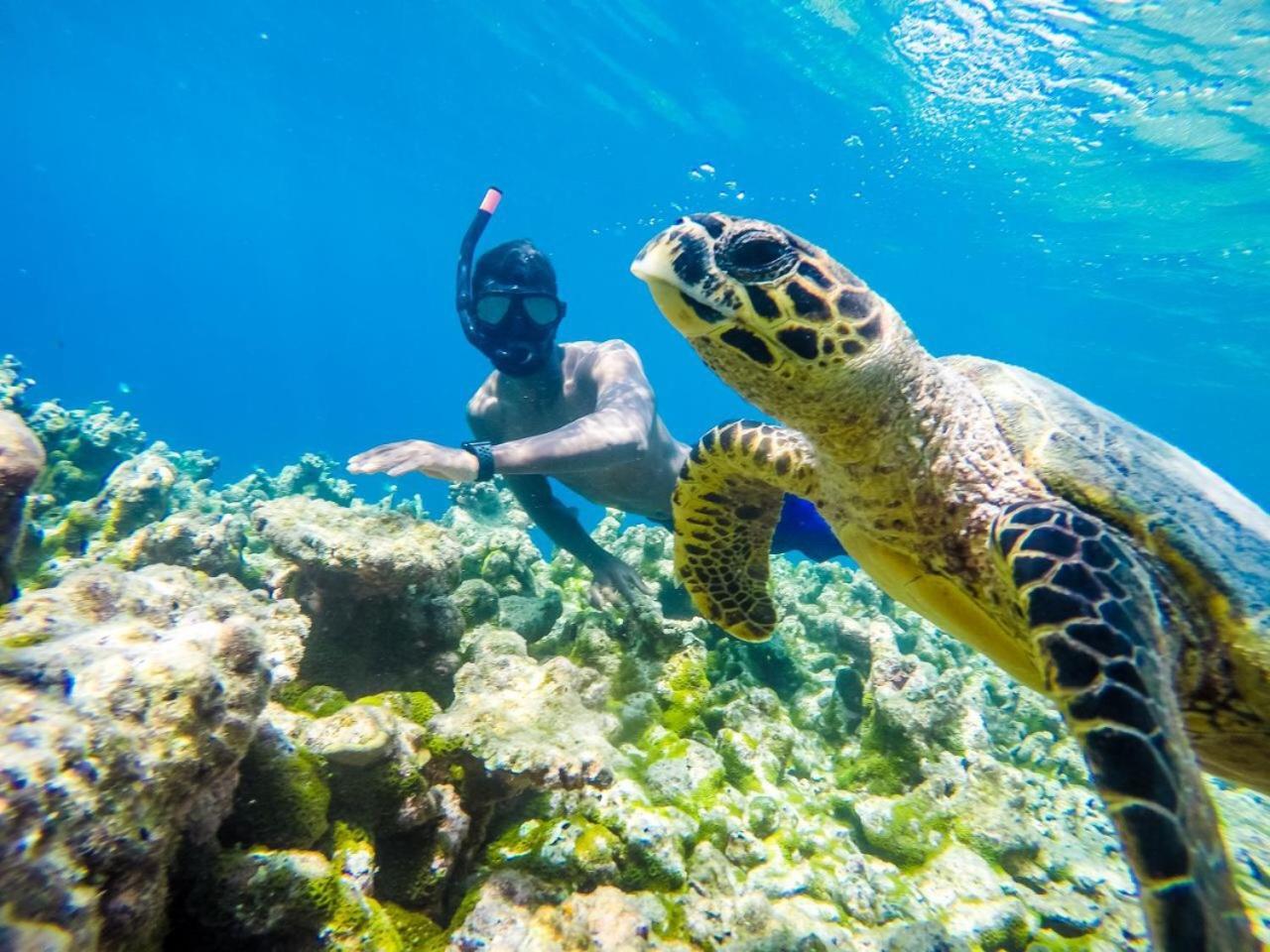 Old Town Inn Maldives Gaafaru Экстерьер фото