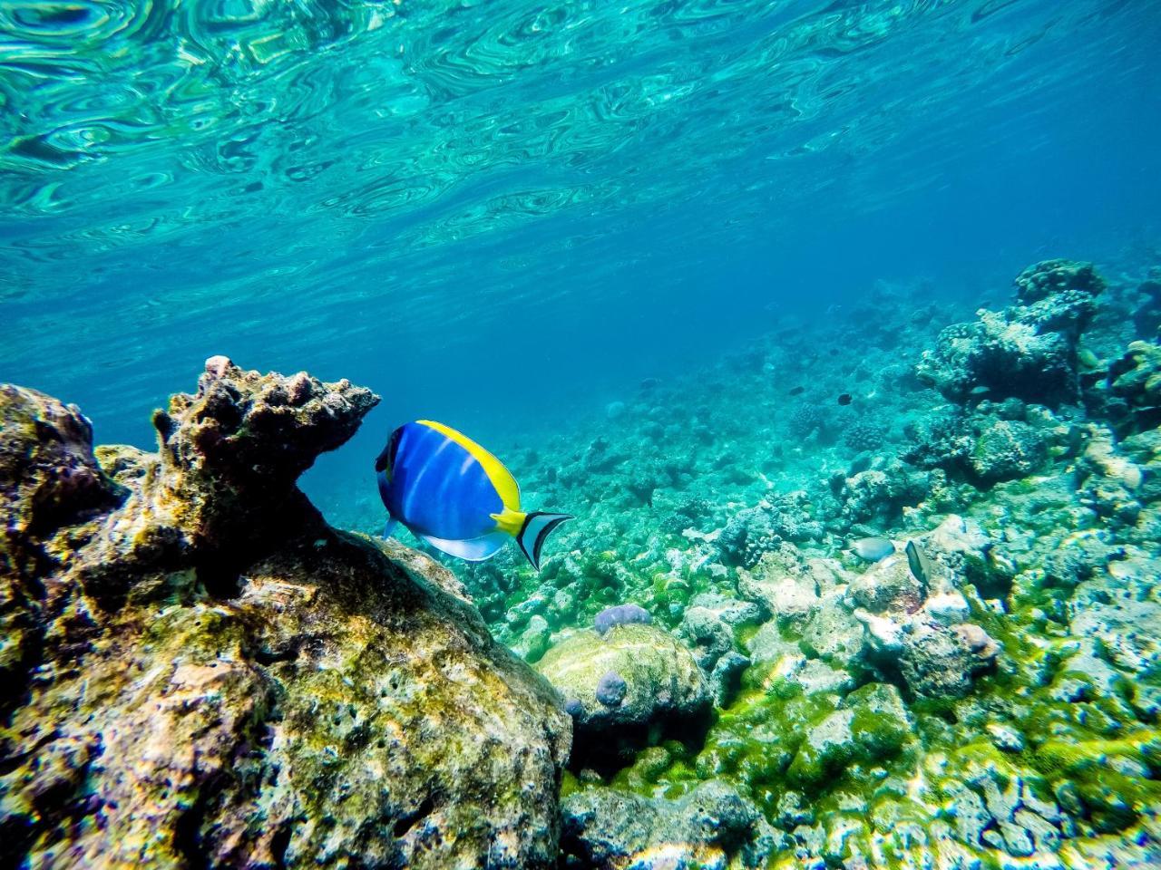 Old Town Inn Maldives Gaafaru Экстерьер фото