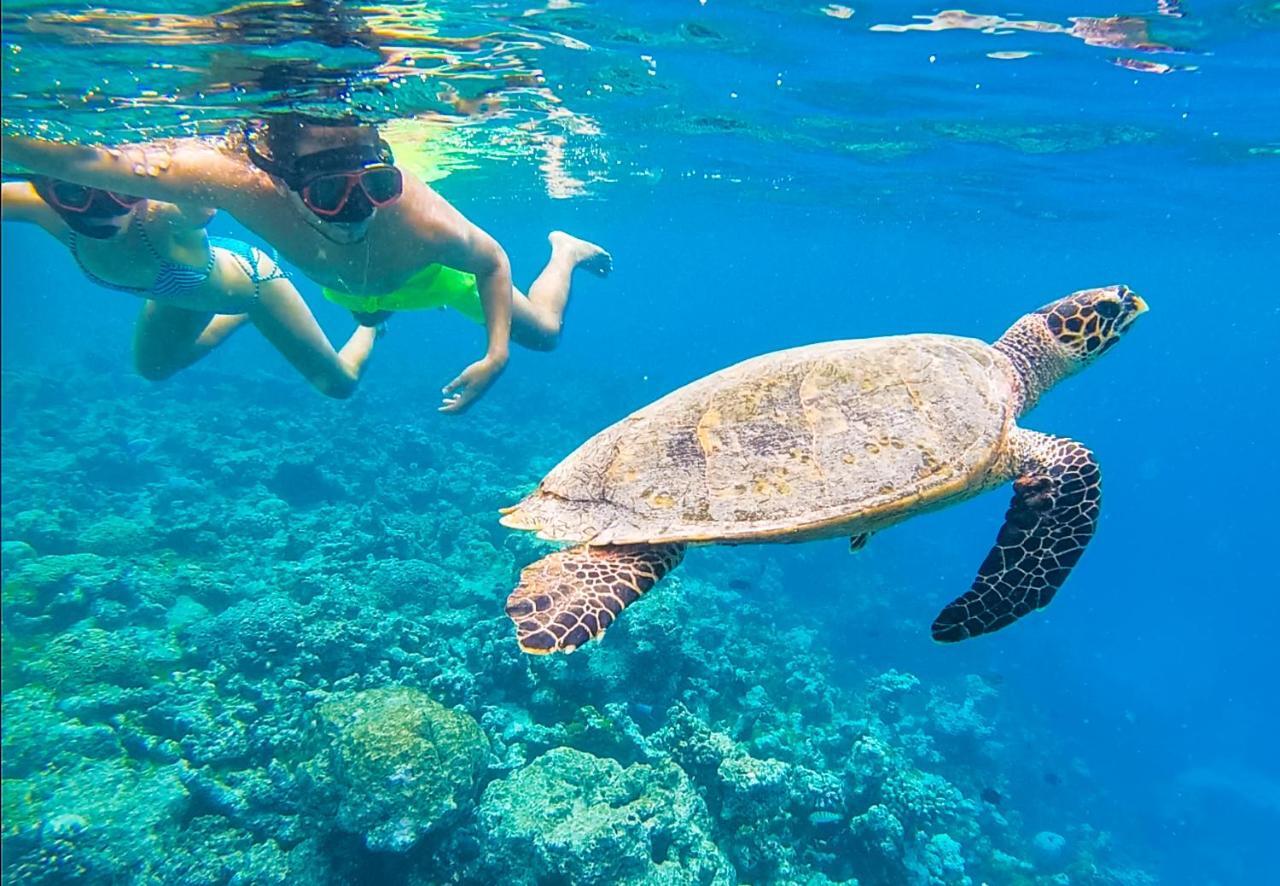 Old Town Inn Maldives Gaafaru Экстерьер фото